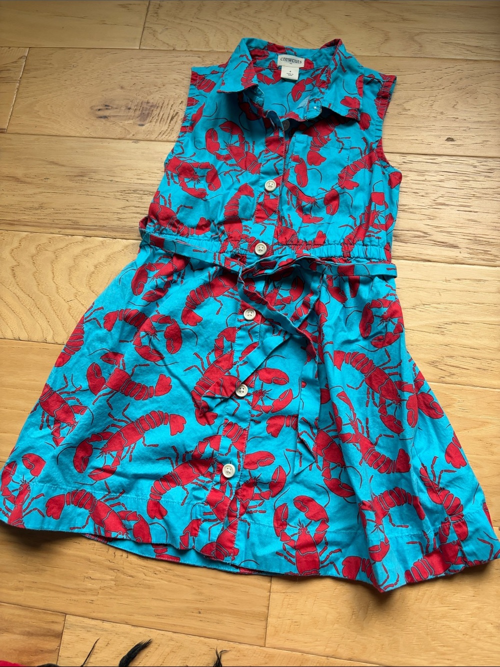 Crewcuts Turquoise Dress with Red Lobster Print